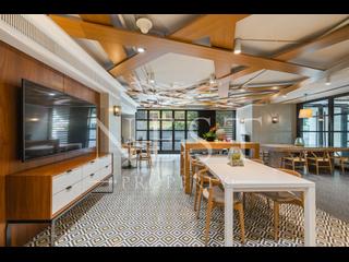 Happy Valley - The Aster (Resiglow) 12