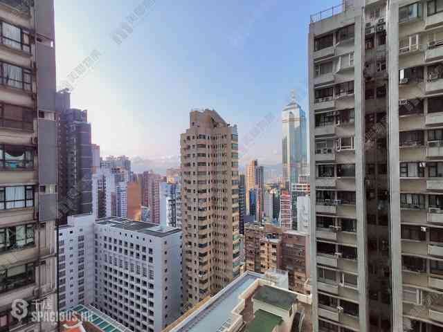 中半山 - 樂信臺 03