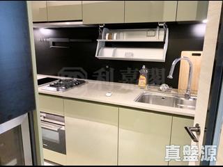 北角 - 柏蔚山 03