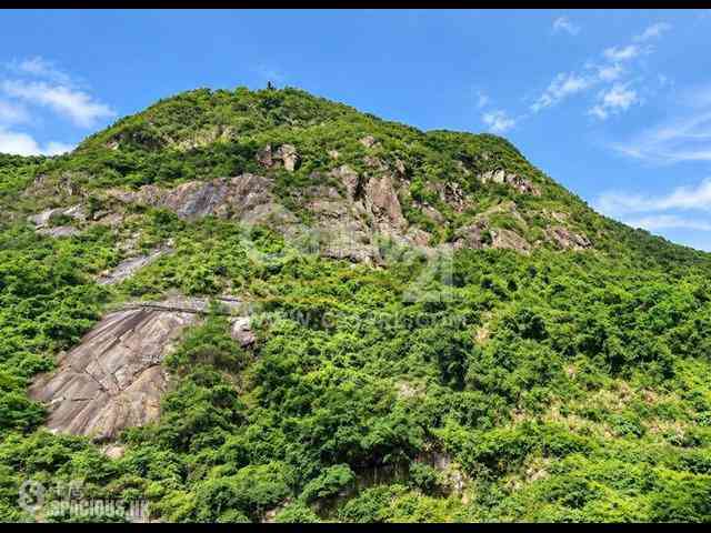 中半山 - 敦皓 03