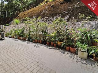 The Peak - Barker Villa 12