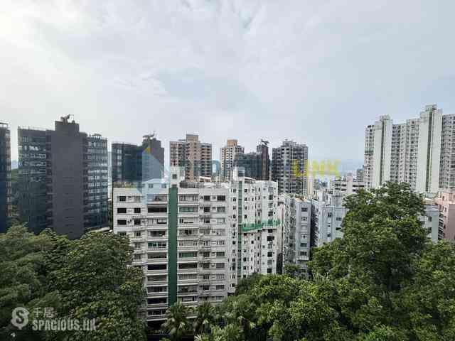 Mid Levels West - Skyline Mansion 18