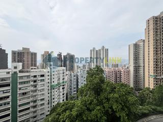 Mid Levels West - Skyline Mansion 19