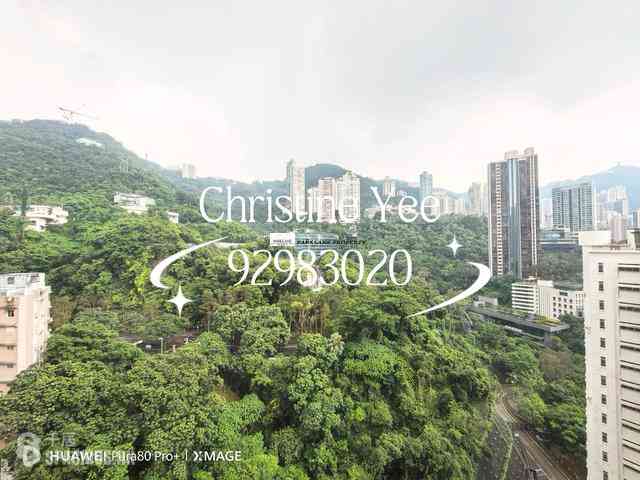 Wan Chai - Star Crest 01