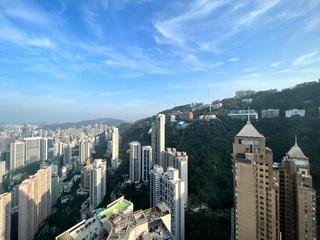 Mid Levels Central - Tregunter Tower 3 06