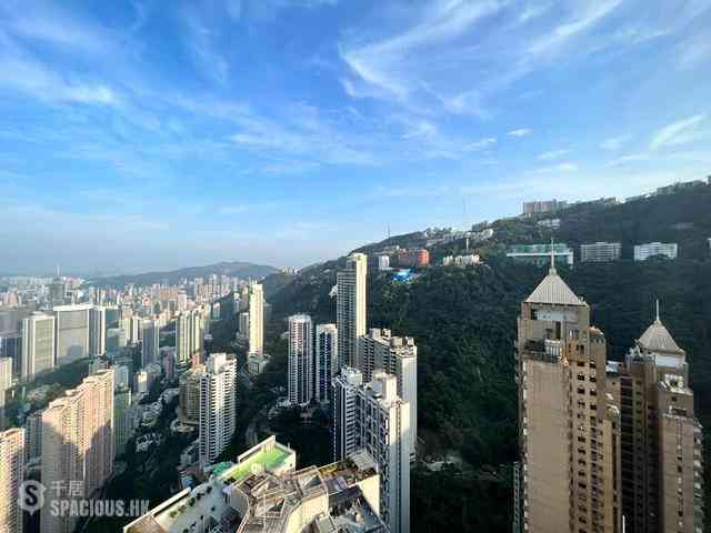 Mid Levels Central - Tregunter Tower 3 06