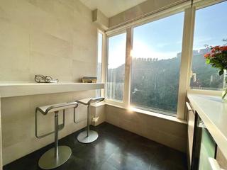 Mid Levels Central - Tregunter Tower 3 12