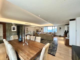 Mid Levels Central - Tregunter Tower 3 03