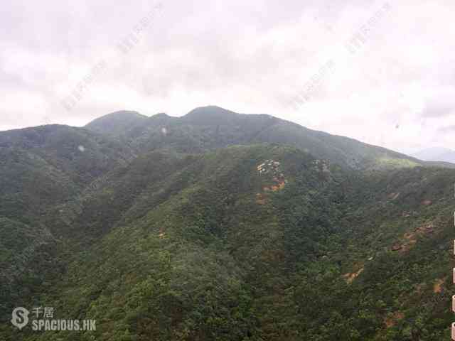 Tai Tam - Hong Kong Parkview 11