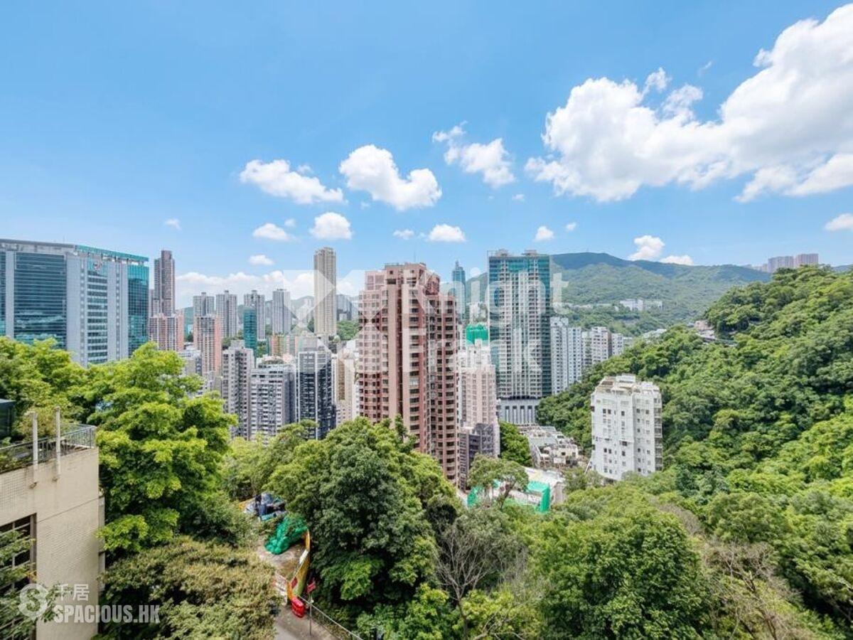 司徒拔道 - 紀園 01
