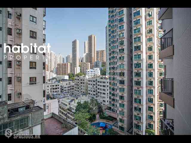 Sai Ying Pun - The Babington 08