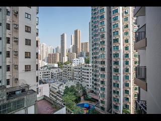 Sai Ying Pun - The Babington 11
