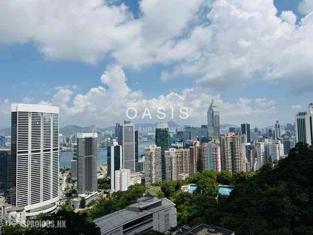 東半山 - 峰景花园 18
