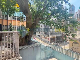 Poho - Rich View Terrace 08