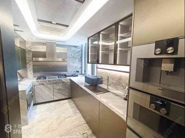 Mid Levels Central - 21 Borrett Road Phase 2 08