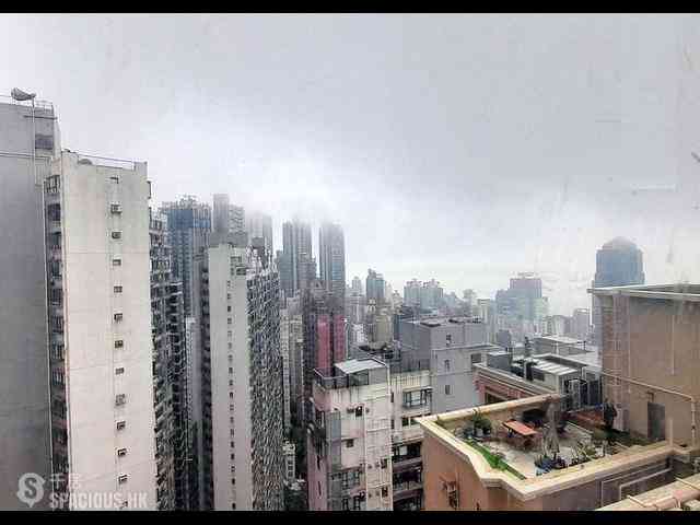 中半山 - 樂信臺 08