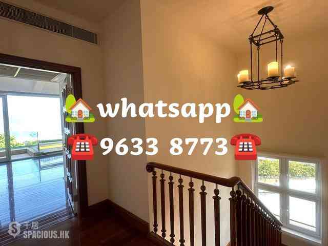 Stanley - Carmelia 20