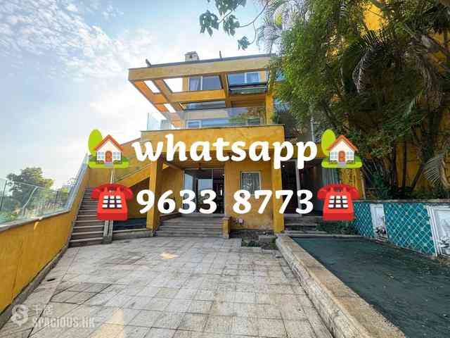 Stanley - Carmelia 51