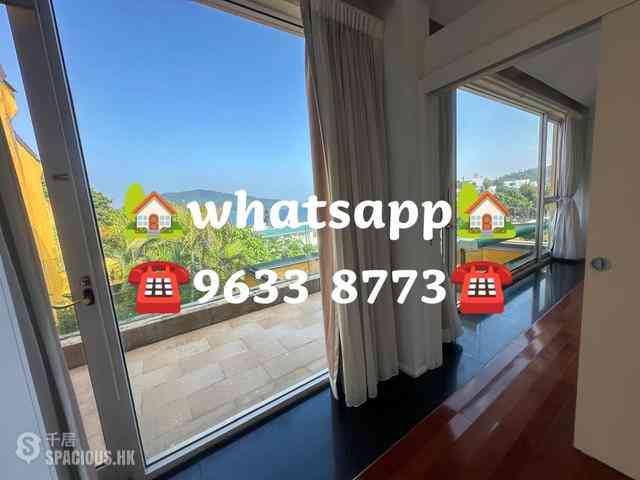 Stanley - Carmelia 62