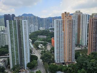 大围 - 美松苑 15