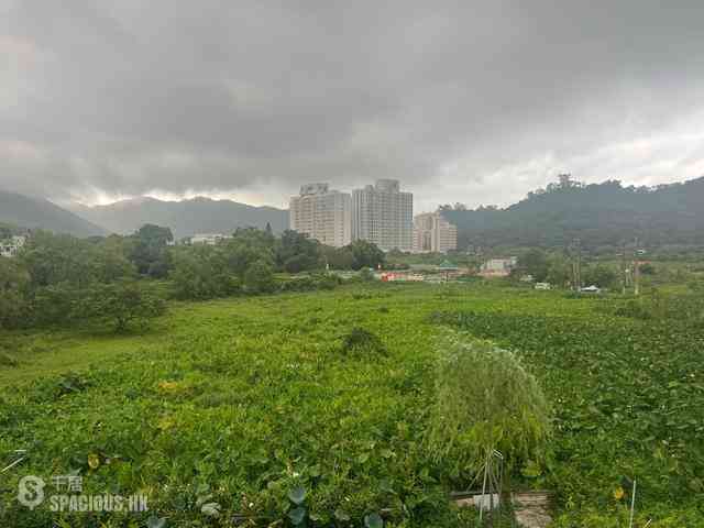 Mui Wo - Luk Tei Tong 08