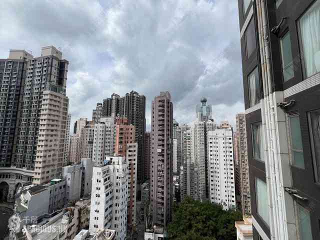 Sai Ying Pun - The Summa 05