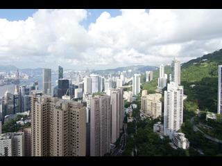 中半山 - 帝景園4座 08