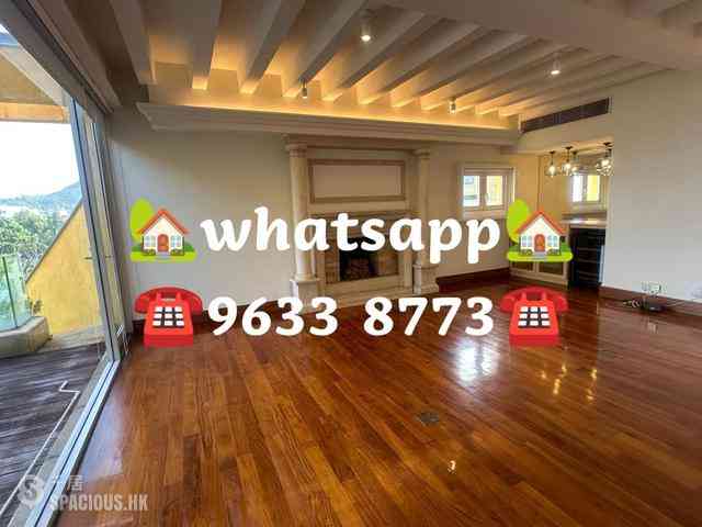 Stanley - Carmelia 14