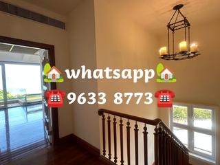 Stanley - Carmelia 20