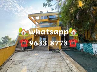 Stanley - Carmelia 35