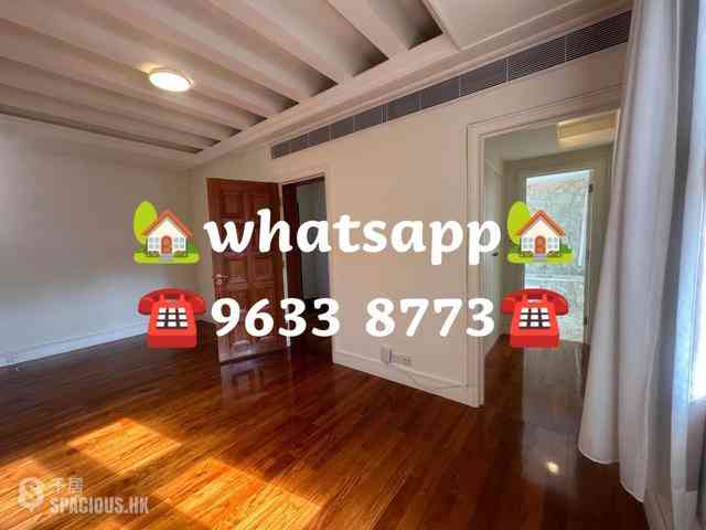 Stanley - Carmelia 43