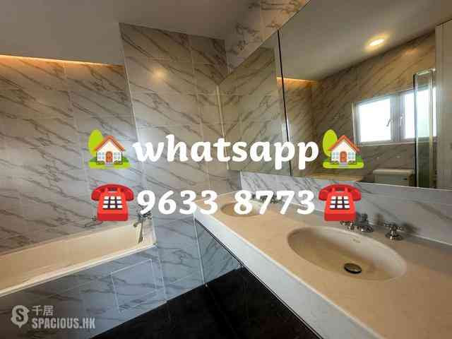 Stanley - Carmelia 46