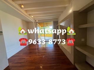 Stanley - Carmelia 49