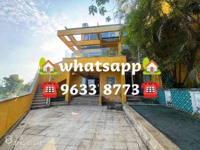 Stanley - Carmelia 51
