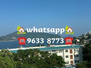 Stanley - Carmelia 66