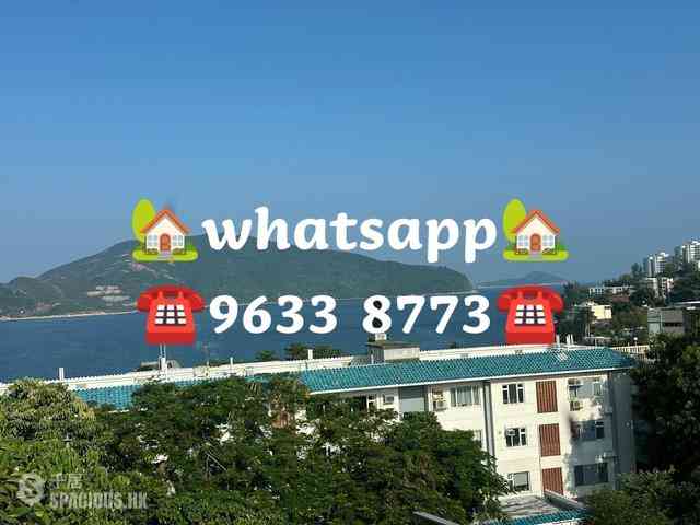 Stanley - Carmelia 66