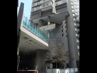 中半山 - The Icon 10