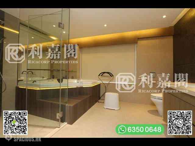清水灣 - 溫莎堡 09
