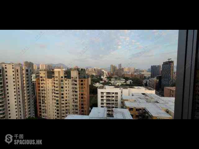Jordan - Arbour 01