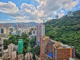 東半山 - 竹林苑82号 03