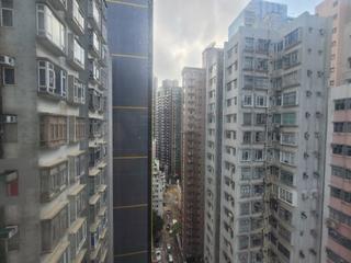铜锣湾 - 启礼阁 12