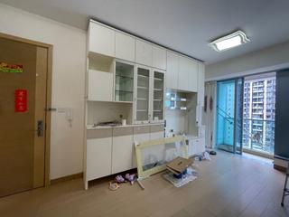 Tseung Kwan O - The Parkside Block 2A 03