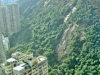 中半山 - 骏豪阁 08