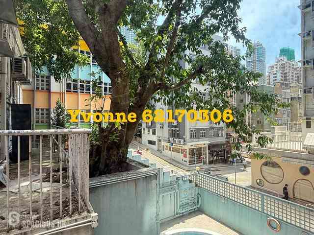 Poho - Rich View Terrace 12