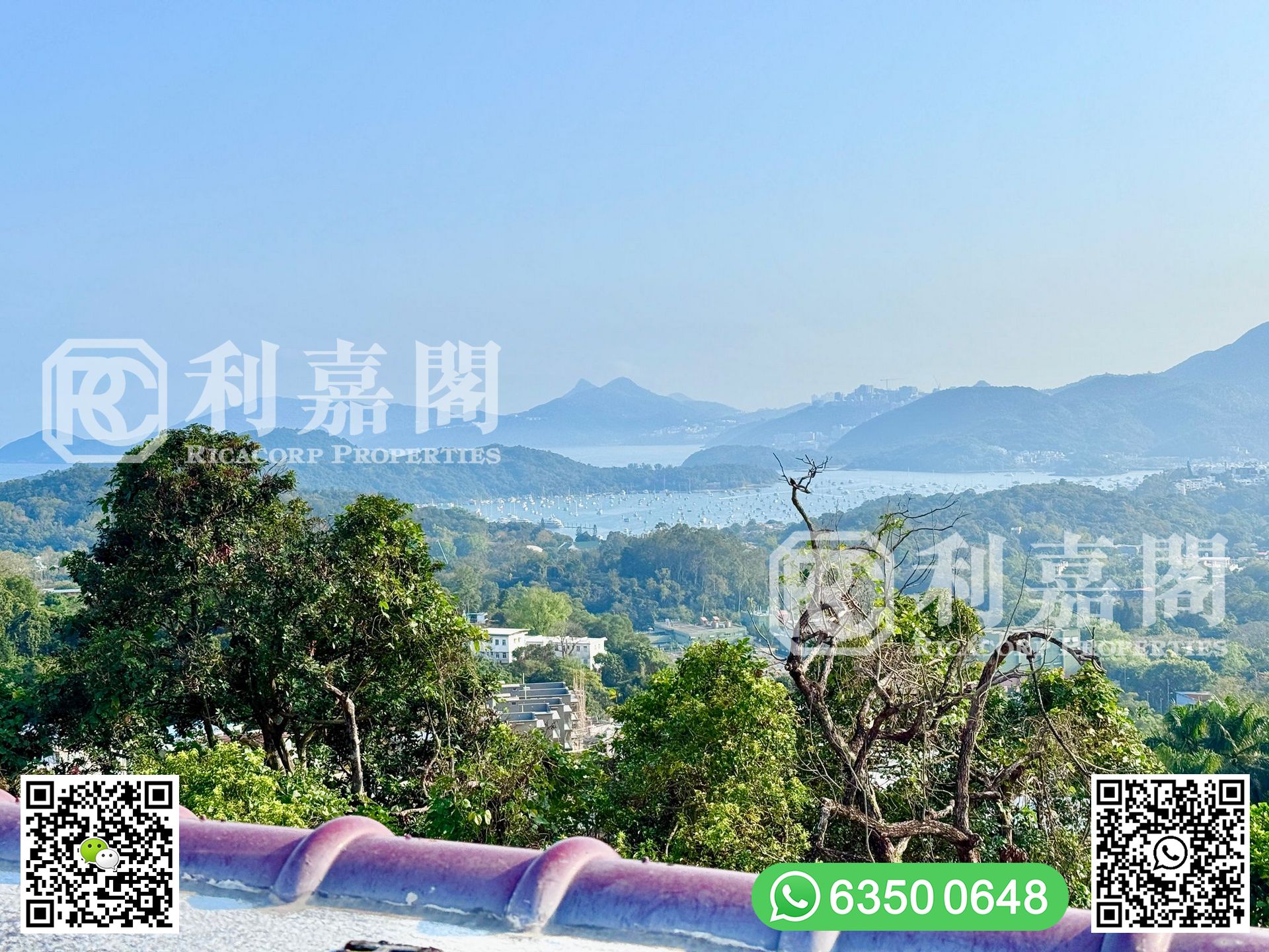 西貢 - 柳濤軒 01