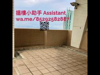 坚尼地城 - 泓都 11