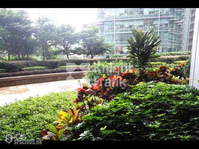 Wan Chai - Star Crest 14