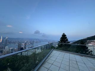 The Peak - 56 Plantation Road 05
