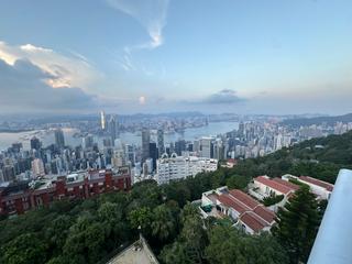 The Peak - 56 Plantation Road 07