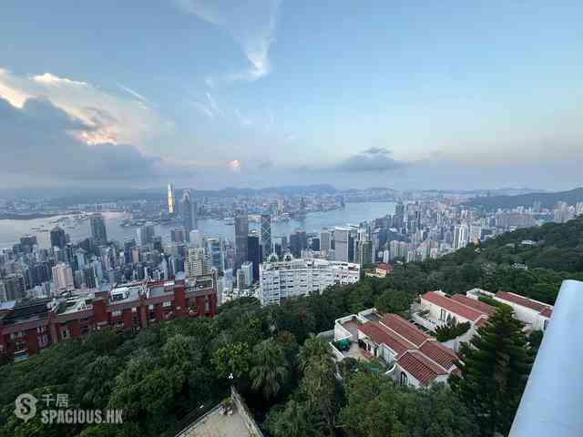 The Peak - 56 Plantation Road 07